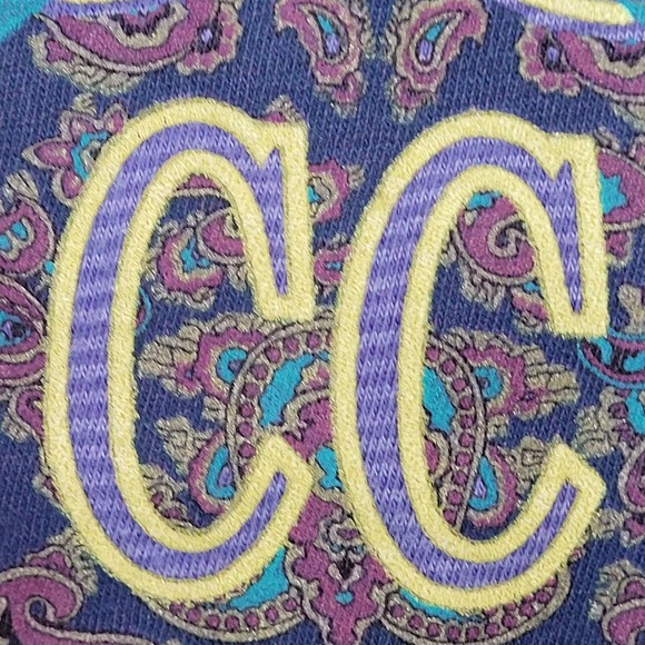 Vintage 90s Cape-Cod Paisley Stripes Cropped Shirt Womens 2XL 24x17 Purple USA - Picture 4 of 11